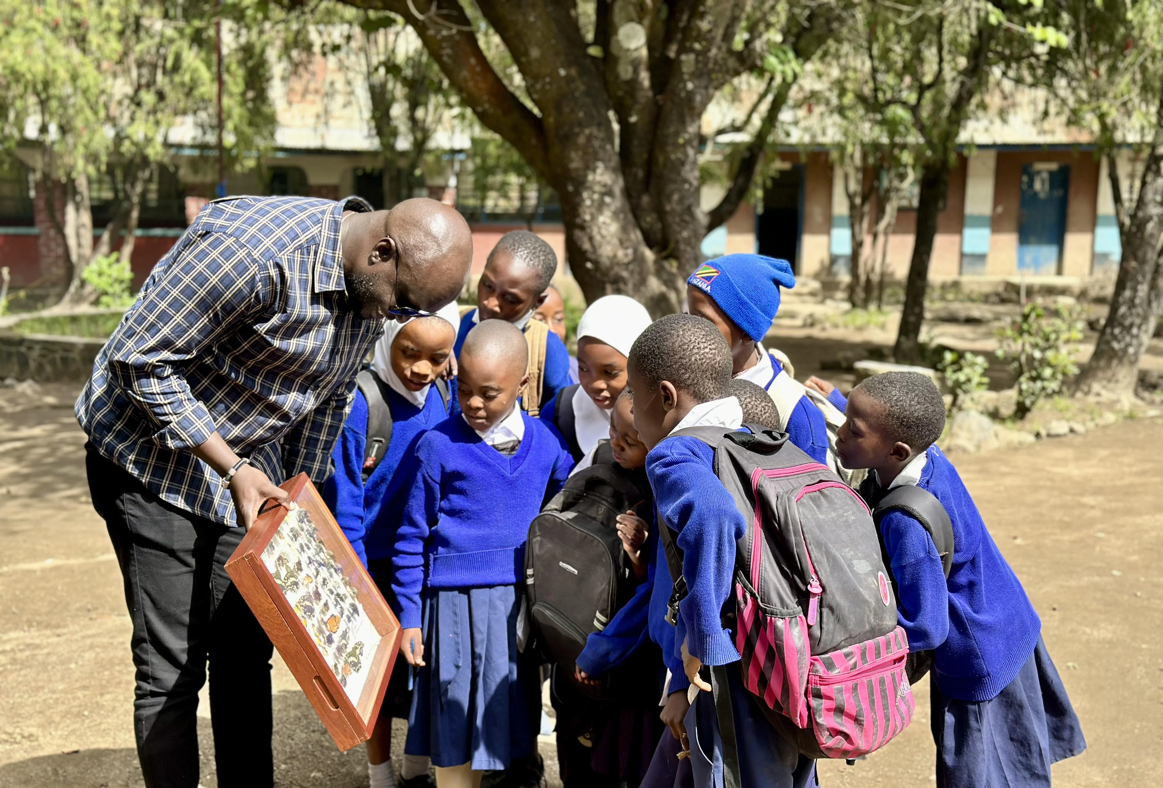 Education &amp; Advocacy - Strategic objective