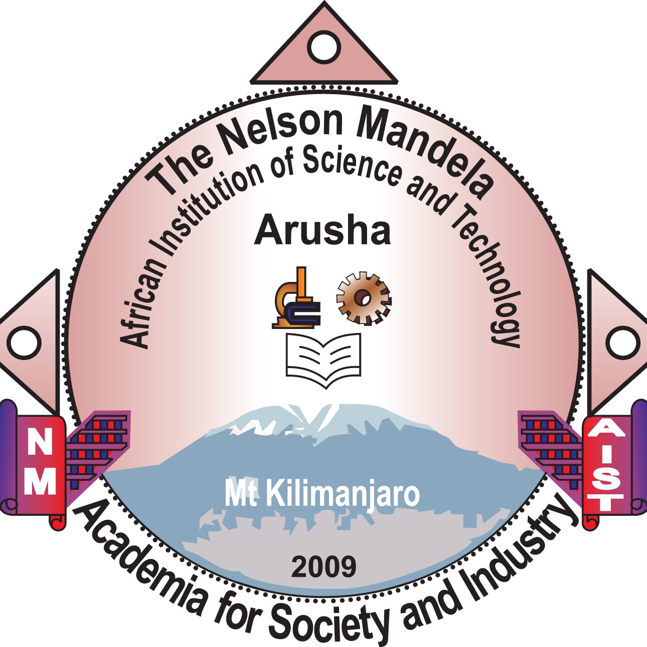 NM-AIST - Nelson Mandela African Institution of Science and Technology logo